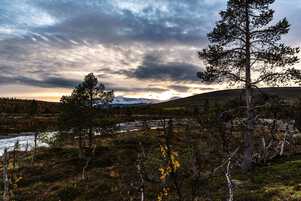 On the way back from Lake Blåvatnet