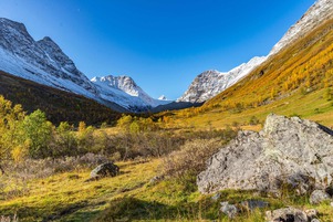 Peaking out of the glacier