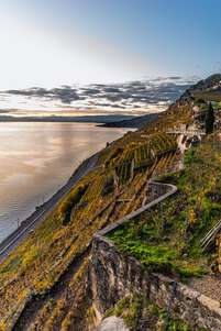 Vineyards and railroad at Lavaux