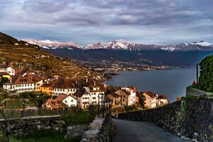 View from Lavaux on Montreux and Bernese Alps
