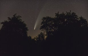 Comet C/2020 F3 (NEOWISE) in the tree gap with ion tail