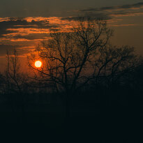 Sunrise in Białków 3