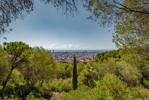Beautiful view from Park Güell