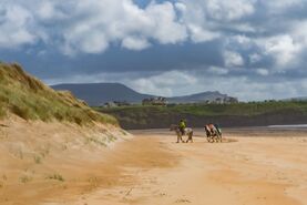Horseriding on the beach