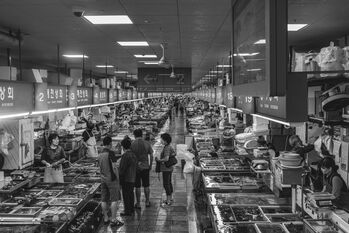 Jagalchi Market, Busan