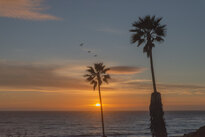 Santa Barbara Shores Park 4