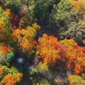 Park Szczytnicki from above, Wrocław